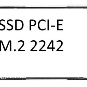 256GB SSD M.2 2242 PCIe 3.0 NVMe PYRITE Lenovo ThinkCentre M75s G2