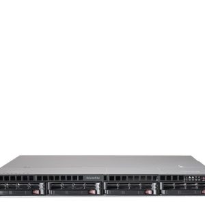 bluechip SERVERline R31309s – AMD EPYC 4124P | 32 GB RAM | 2x 480 GB SSD