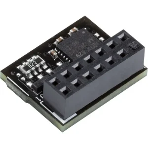 ASUS TPM-SPI module