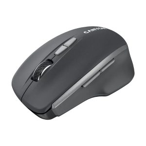 Canyon MW-21 Kabellose optische Maus mit ”Blue LED” Dunkelgrau