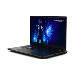 NTB Medion Defender 17 P1 30039749 – 17.3″ FHD, Intel® CoreTM i9-270H, 32GB, 2TB, NVIDIA RTX5070, W11