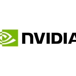 NVIDIA RTX 2000 Ada Generation – Grafikkarten – NVIDIA RTX 2000 Ada – 16 GB