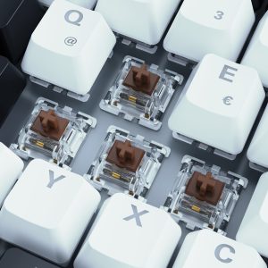 Sharkoon SKILLER SGK50 S3 Gaming Tastatur – 75% Layout, braune Hot-Swap Gateron-Switches, RGB-Beleuchtung, QWERTZ-Layout, weiß