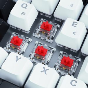 Sharkoon SKILLER SGK50 S3 Gaming Tastatur – 75% Layout, rote Hot-Swap Gateron-Switches, RGB-Beleuchtung, QWERTZ-Layout, weiß