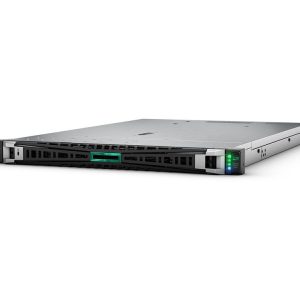 HPE ProLiant DL325 Gen11 – Rack mounting – EPYC 9124 3 GHz – 64 GB – SSD 2 x 480 GB