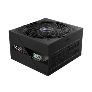 GigaByte AORUS Elite Platinum P850W | PC Power Supply