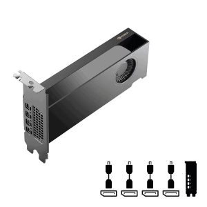 PNY RTX PRO 2000 Blackwell, 16GB GDDR7, 4x mDP