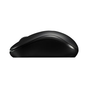 Rapoo Wireless Optical Mouse “M10 Plus”, black