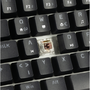 Speedlink ATMOS RGB Rainbow Mechanical 60% gaming keyboard with brown switches, black