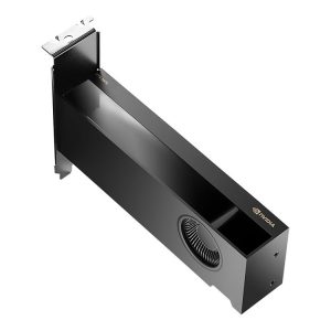 NVIDIA – Graphics cards – NVIDIA RTX 2000 Ada – 16 GB