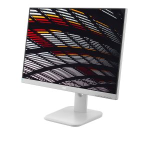 AOC 24P1/GR 24 inch FHD monitor, height-adjustable (1920×1080, 60 Hz, VGA, DVI, HDMI, DiplayPort, USB Hub) grey