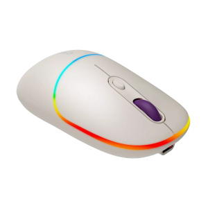 CANYON Mouse MW-22 2in1 BT/ Wireless Rice