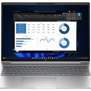 HP ProBook 4 G1i Intel Core Ultra 5 225U 39.62cm 15,6in FHD 16GB 512GB/SSD W11P 1J Gar