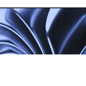 Dell Pro P P2726HE – LED-Monitor – 68.6 cm (27″)