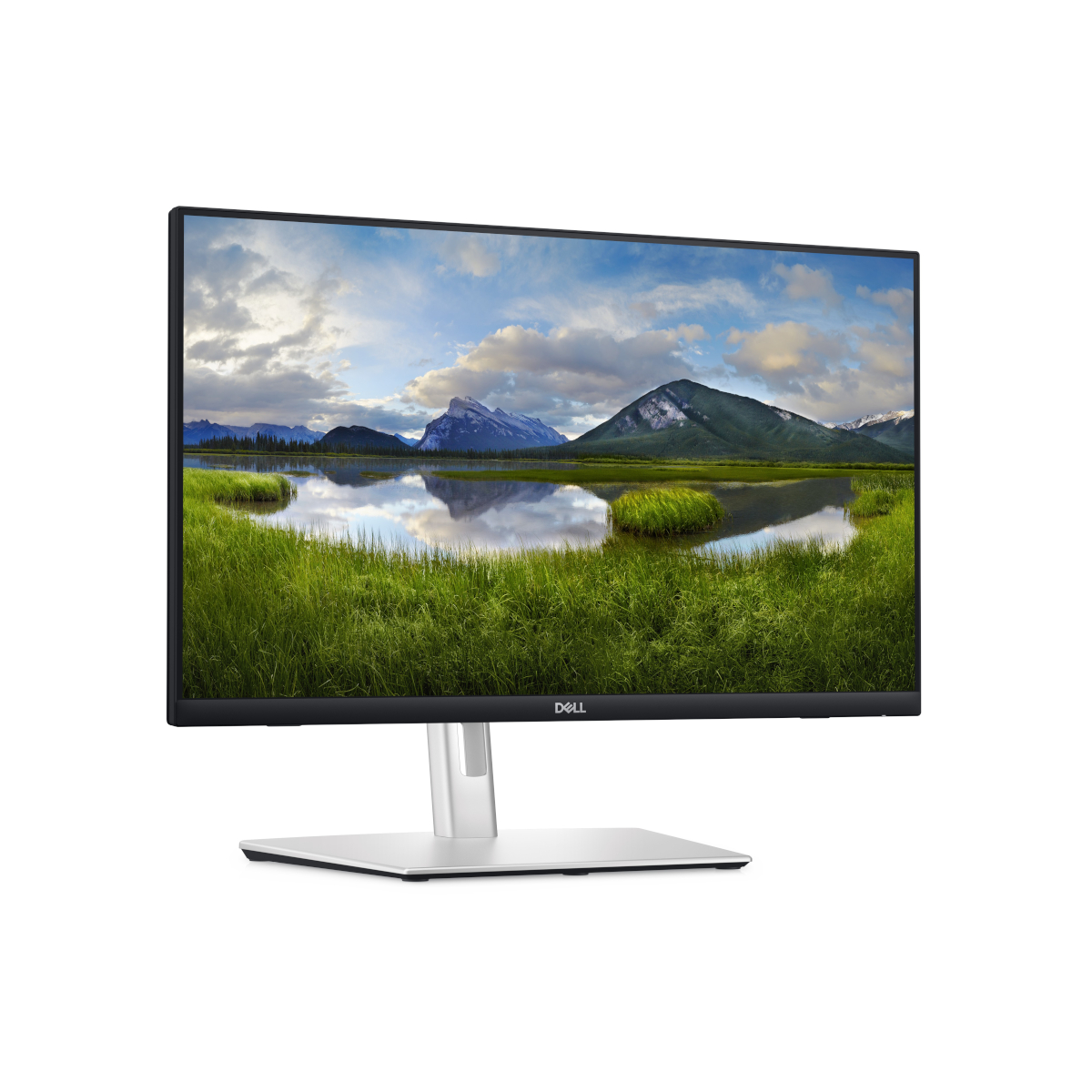 DELL P2424HT Office Monitor 60.47 cm (23.8"), IPS, 300 cd/m², HDMI, DP, USB, LAN