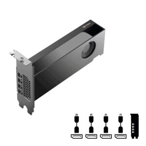 PNY RTX PRO 2000 Blackwell, 16GB GDDR7, 4x mDP