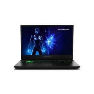 Erazer Deputy 15 P1 – 15,6″, Intel Core 5 210H, 16 GB RAM, 1 TB SSD, GeForce RTX 5060, kein Betriebssystem