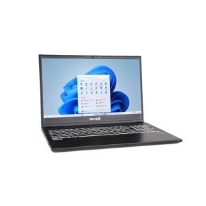 Wortmann TERRA MOBILE 1516R, 15,6 Zoll FHD Non-Glare, Intel Core i5-1334U, 16GB, 500GB SSD, Windows 11 Home