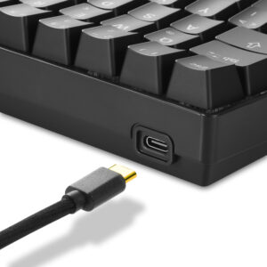 Sharkoon SKILLER SGK50 S4 Gaming Keyboard with Blue Switches – 60% Layout, Blue Hot Swap Switches, RGB Lighting, QWERTZ Layout, Black