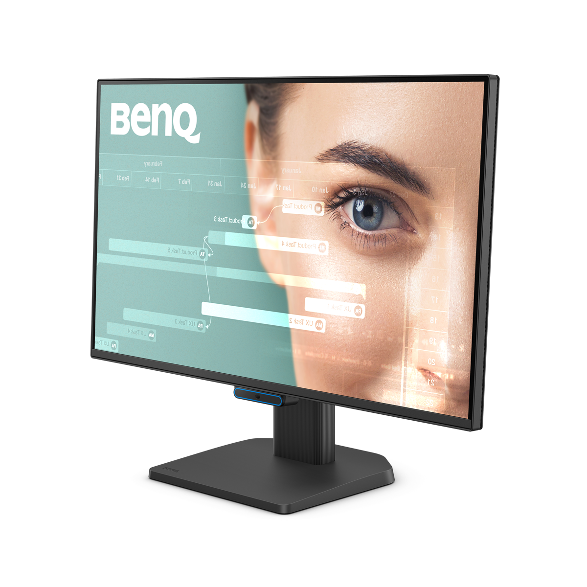 BenQ BL2490C Office Monitor 60.45 cm (23.8 inches) black FHD, 16:9, 5 ms, 250 cd/m2, IPS