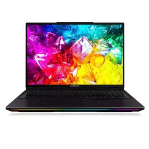 Captiva Notebook Ultimate Gaming R95-061GE – 16″ WQXGA, AMD Ryzen 9 9955HX, 64 GB RAM, 2 TB SSD, GeForce RTX 5090, W11