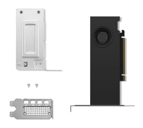 Lenovo NVIDIA RTX 2000 Ada - Grafikkarten - NVIDIA RTX 2000 Ada