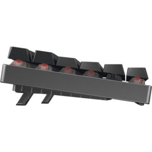 Cherry XTRFY MX 8.2 Kabellose Gaming Tastatur,schwarz Tenkeyless, CHERRY Advanced Wireless Technology, RGB Beleuchtung