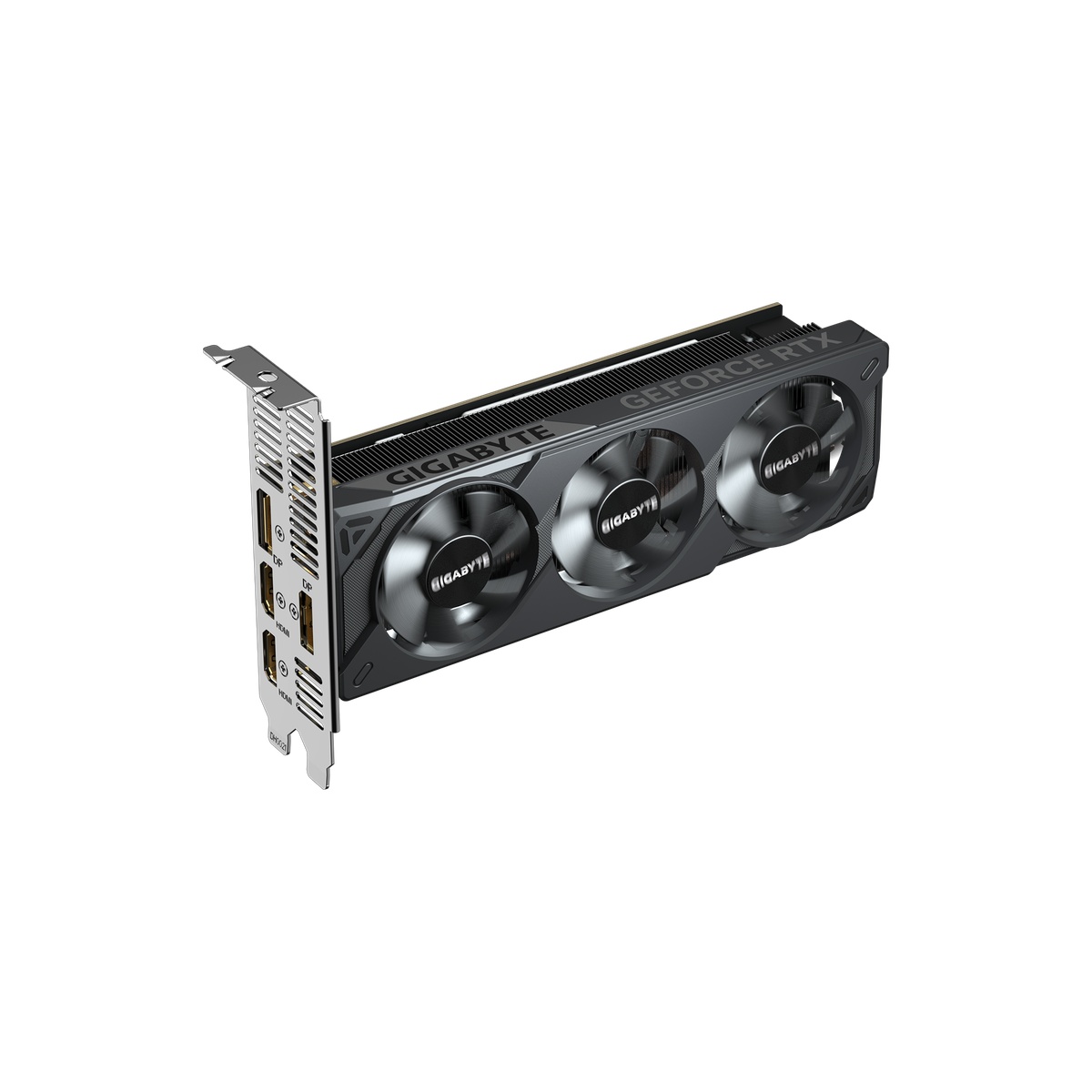 GIGABYTE GeForce RTX 5050 OC Low Profile 8G Grafikkarte - 8GB GDDR6, 2x HDMI, 2x DP