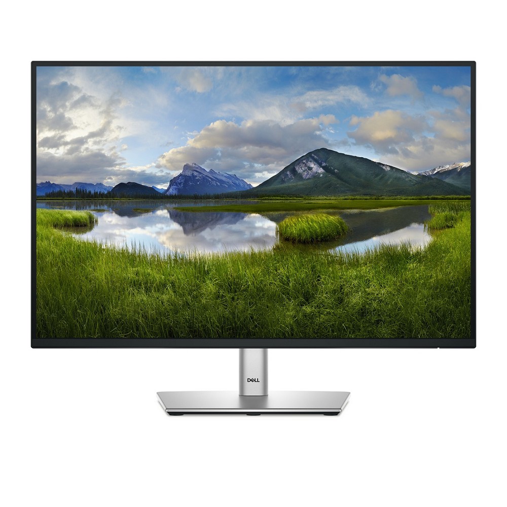 Dell P2425E - LED-Monitor - 61 cm (24")
